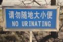 no urinating.jpg
